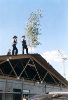 ... und schon pflanzen wir die Bäume auf dem Dach